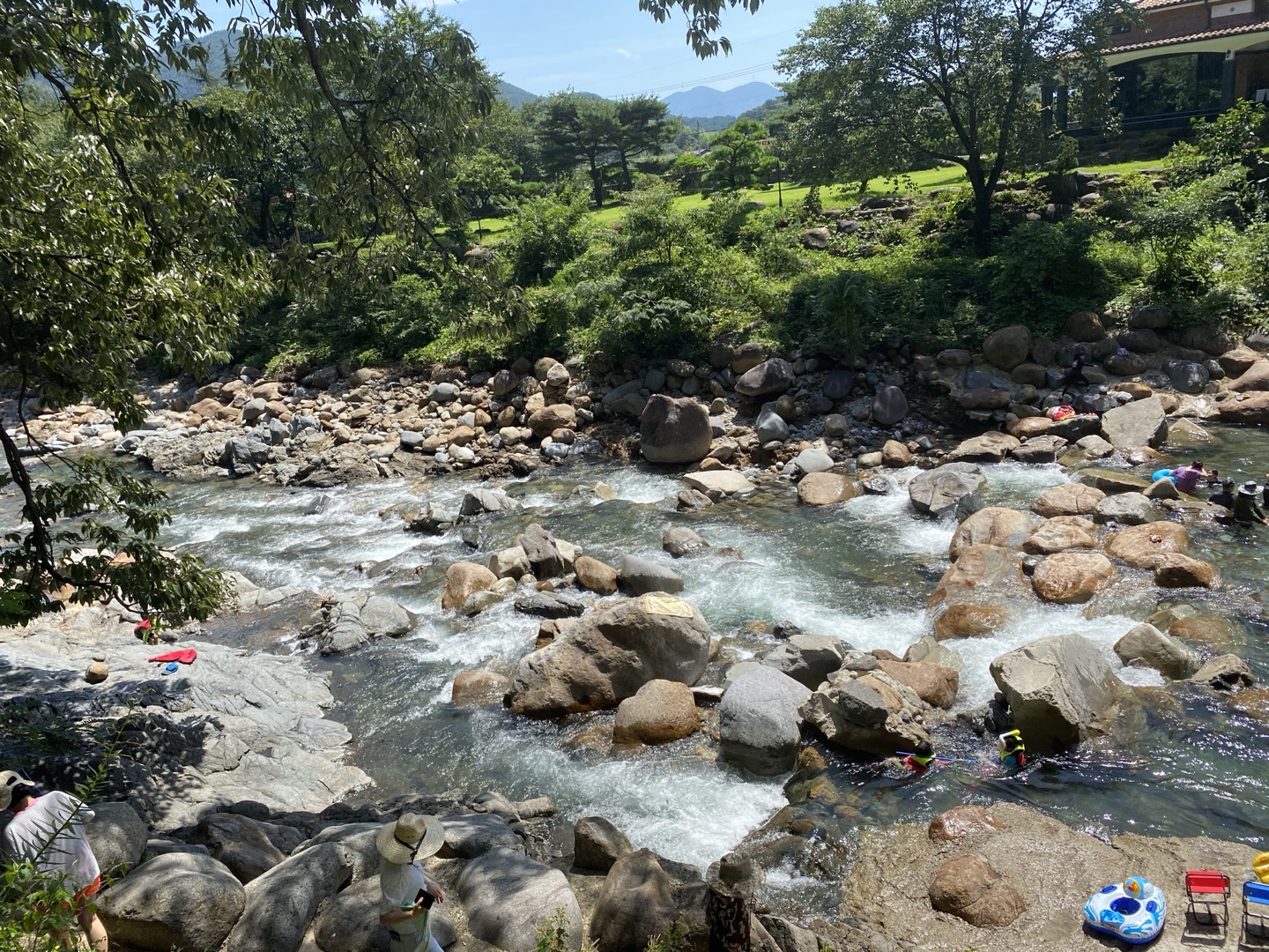 video Image